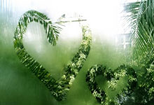 完美世界电竞-转会期巴黎圣日耳曼备战欧联，状态回暖细节流出，管理层满意，数据层面出现新趋势的简单介绍